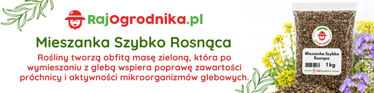 Baner mieszanka szybko rosnąca nasiona na poplon sklep rajogrodnika